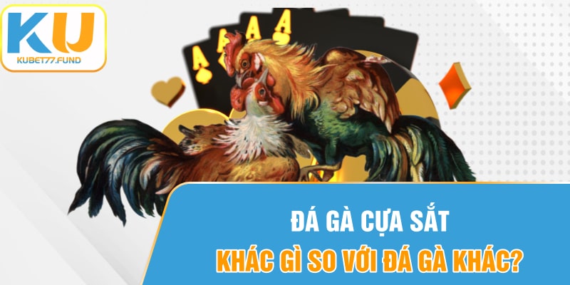 Đá gà cựa sắt khác gì so với đá gà khác?